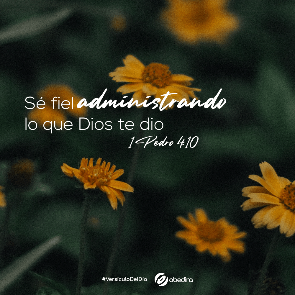 1 Pedro 4 10 Obedira
